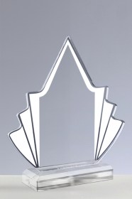 Trofee din Acril PSW 105